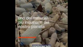 NATURA AMICA: scoperto il VERME CHE MANGIA LA PLASTICA