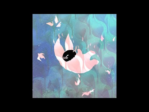 SHISUKA - DISTANCIA MÁXIMA PERMITIDA