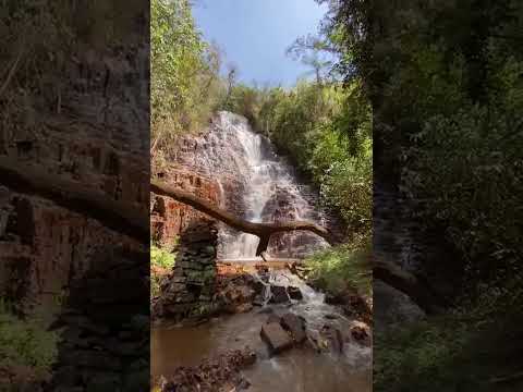 Cachoeira Mãe ou Cachoeira da Árvore Caída - Ribeirão Bonito SP