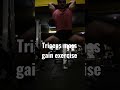 Triceps mass gain exercise