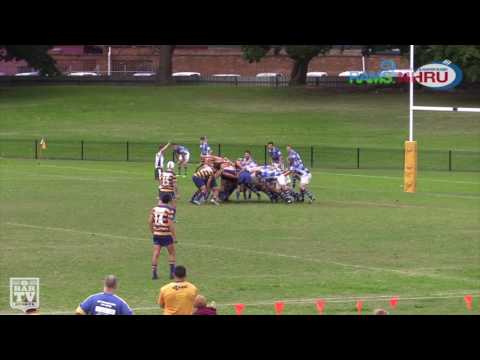2017 NHRU Round 8 Premier 3 Highlights - Hamilton Hawks Vs Wanderers