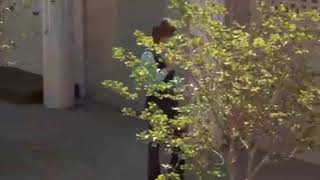 Walking in the rain ~ David Cassidy &amp; The Partridge Family