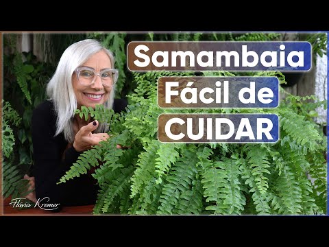 , title : 'DESCUBRA COMO PODE SER FÁCIL CUIDAR DESSA SAMAMBAIA | Flávia Kremer'