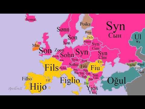 Family Members | European Languages Comparison