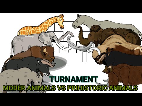 Modern animals vs prehistoric animals turnament animation —all animation