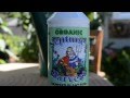 Neptune's Harvest  organic seaweed liquid plant food review.