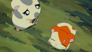 Hamtaro episode 1