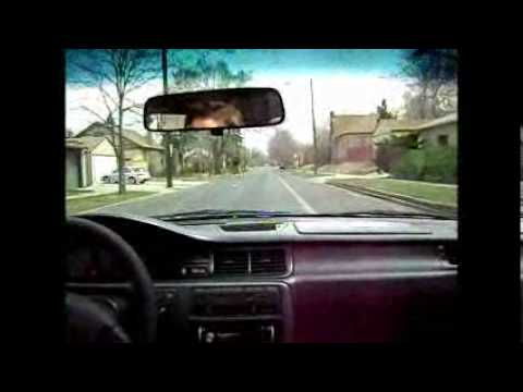 Install Ram Air Intake- 1995 Honda Civic