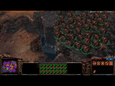 Starcraft 2 Beta Mass Broodlords