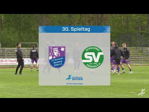 Bamberg stößt im Kellerduell gegen Schalding den Bock um