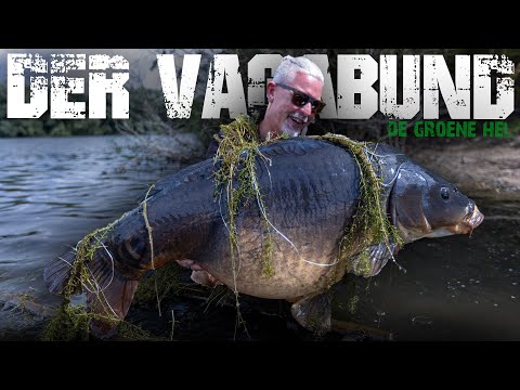 THE VAGABOND in the green hell! 🌿