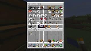 ラスボス倒して裏世界の装備を取りたい #Minecraft