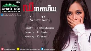 ឈឺពេកហើយ by KOSOMA (Official Audio)