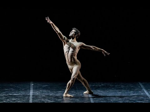 ROBERTO BOLLE and FRIENDS 🩰🤩 #Spettacolo #Teatro #Balletto #Danza