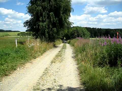 ČZ 125/516 zátah v plnym