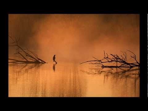 Bên đời hiu quạnh Sheet - Hồng Nhung