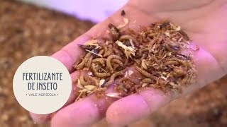 Miniatura do vídeo