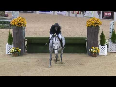 Scott Stewart and Catch Me - WCHR Professional Challenge Final Round 2016