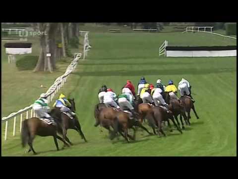 2016.06.25 II. Kvalifikace na 126. Velkou pardubickou s Českou pojišťovnou - Templář