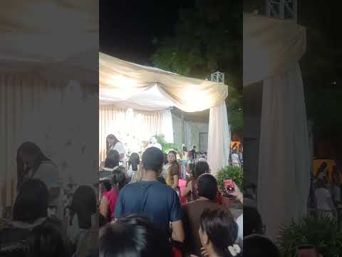 festejos de Nossa Senhora do Carmo piracuruca Piauí