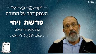 העמק דבר על התורה | פרשת ויחי | הרב אביגדור שילה (ישיבת אור עציון) - התמונה מוצגת ישירות מתוך אתר האינטרנט יוטיוב. זכויות היוצרים בתמונה שייכות ליוצרה. קישור קרדיט למקור התוכן נמצא בתוך דף הסרטון