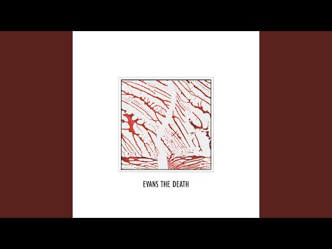 Letter Of Complaint - Evans The Death