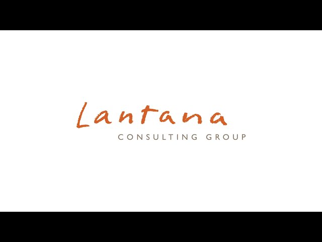 Lantana Consulting Group product / service