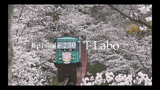 船岡城祉公園・白石川堤　日本さくら名所100選