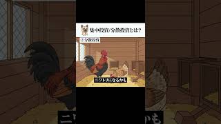 集中投資/分散投資とは？　ラップで解説