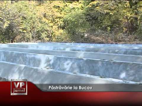 Păstrăvărie la Bucov