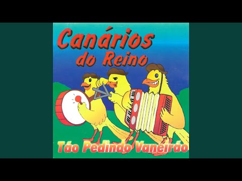 Estão Pedindo Vaneirão