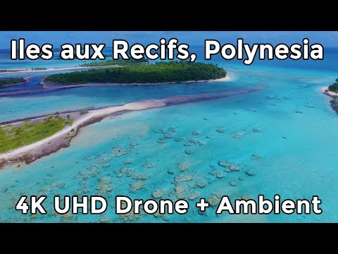Polynesia - EXPLOSIVE landscape.  Îles aux Recifs by Drone - 4K UHD Relaxation + Ambient