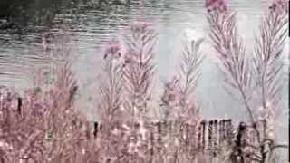 Marillion - Blind Curve (Vocal Under A Bloodlight/Passing Strangers/Mylo/Perimeter Walk/Threshold)