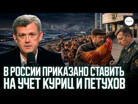В РОССИИ ПРИКАЗАНО СТАВИТЬ НА УЧЕТ КУРИЦ И ПЕТУХОВ