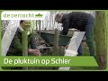 De gigantische pluktuin van Schiermonnikoog | DE OERTOCHT