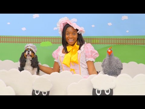 Nutro Dog Food | Chewy