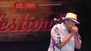 Billy Branch - Hoodoo Man Blues - 2013 Chicago Blues Festival - 6-9-2013