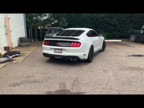 Mustang GT / Blackwidow Venom 250 with Quad Tips