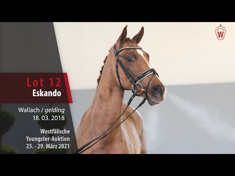 Westf. Youngster-Auktion 25. - 29. März 2021 Lot 12 Eskando Wallach v. Elton John - Don Schufro