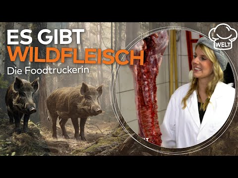 ALTERNATIVES FLEISCH: Darum solltet ihr mehr Wild essen! Mit Jägern auf der Pirsch | WELT DOKU