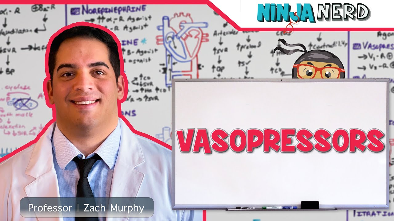 Vasopressors: Inodilators, Inopressors, Pure Vasopressors, Methylene Blue, Midodrine