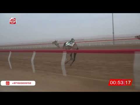  ش 5 (الشاهينيه) لـ سلطان بن جاسم العزيزي 2:57 ، شارة الصندوق 2026/08/16 فطامين الروضة