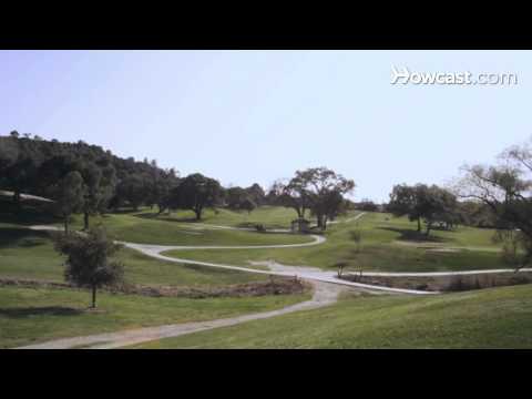 如何成为一名高尔夫专业人士