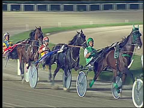 Trotto 23/09/2016 - 8ª corsa