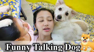 Riobaby Ne Head Massage Kiya Mera | Lolo and Rio - Funny Talking Dog Episode - 4 video