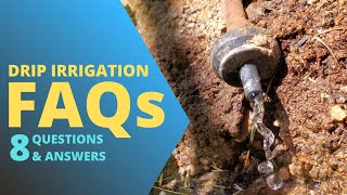 Beginner's Guide to Drip Irrigation - 8 Common Questions Ans