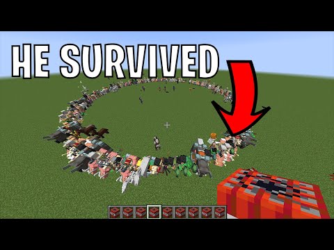 Minecraft, but I make all the mobs fight each other