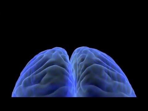 Brain Synapse Animation by Studio 44 Productions