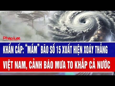 “Mầm” bão số 15 xuất hiện hướng thẳng Việt Nam, cảnh báo mưa to khắp cả nước