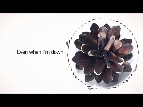 Vincenzo Callea ft. Beth Hirsch - Protect You (Zwette Remix) [Lyric Video]